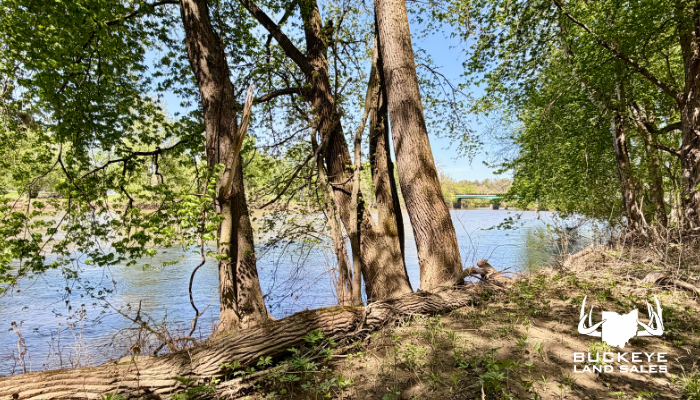 1.5 +/- Acres, Coshocton, OH, 43812